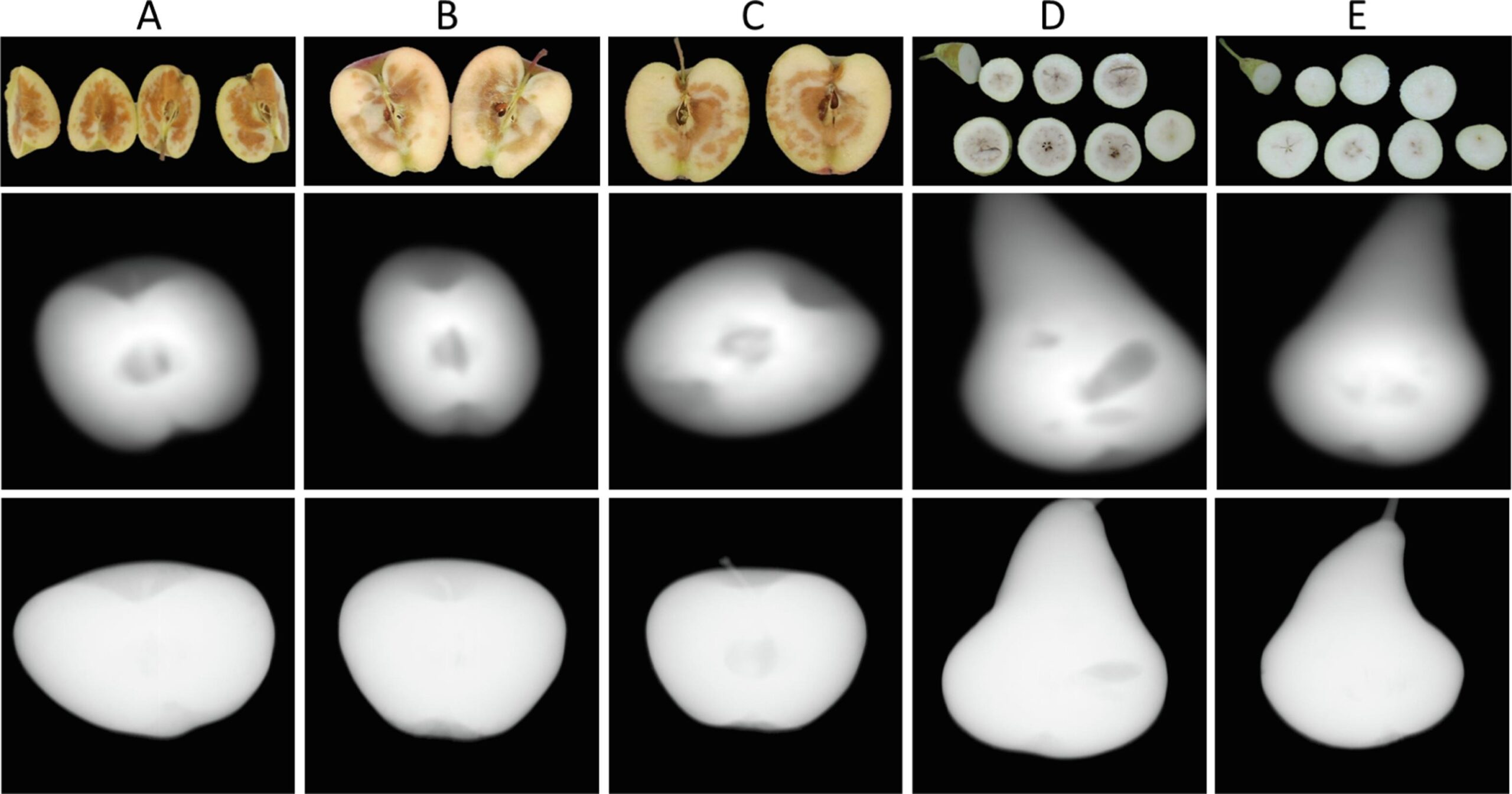 Unsupervised anomaly detection for pome fruit quality inspection using X-ray radiography